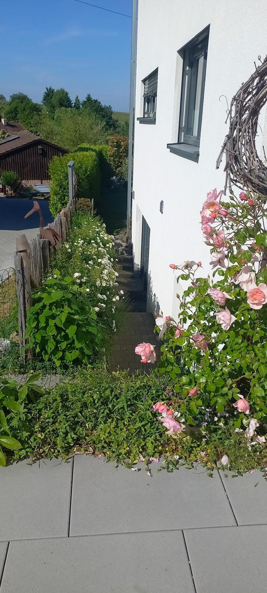 Ferienwohnung Rebgaertle Britzingen Buitenkant foto