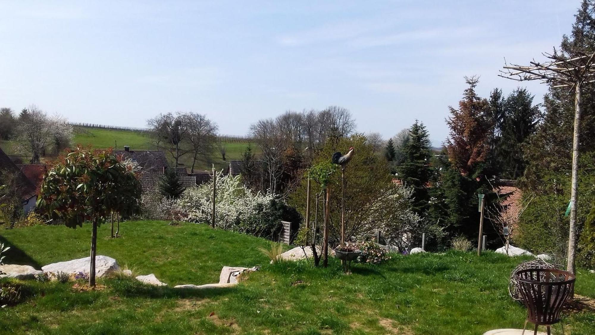 Ferienwohnung Rebgaertle Britzingen Buitenkant foto